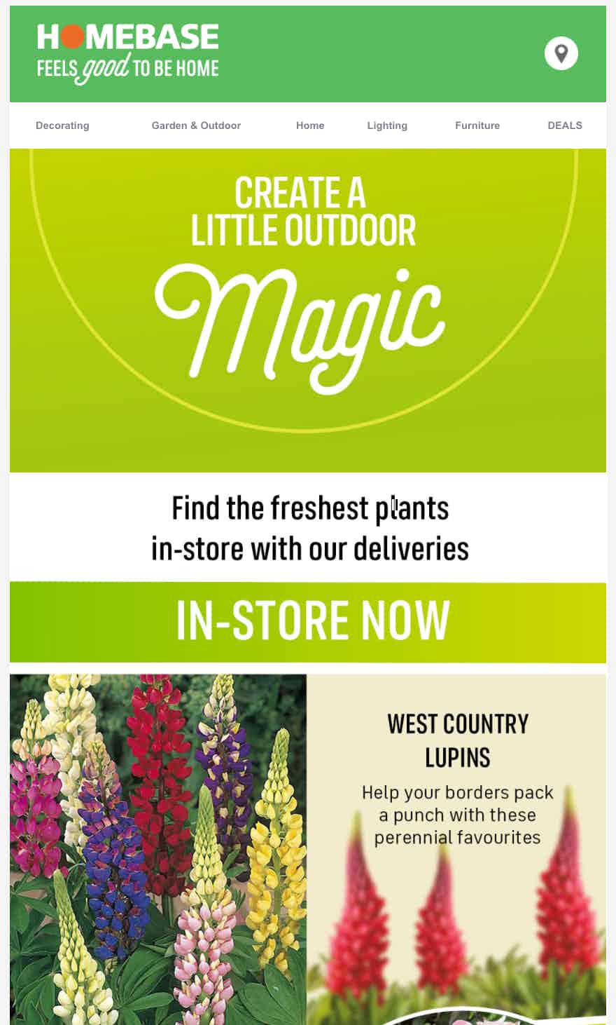 Homebase email
