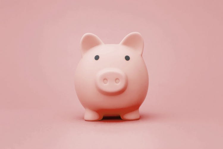 Pink Piggy Bank